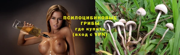 гидра Абаза