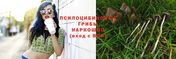 не бодяженный Алзамай