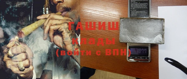 гидра Абаза