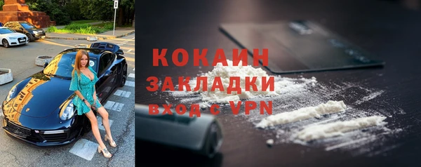 гидра Абаза