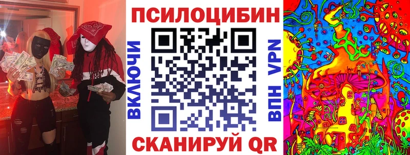 где продают наркотики  Томари  Галлюциногенные грибы GOLDEN TEACHER 