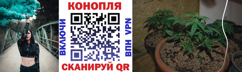 Марихуана сатива  дарнет шоп  Томари 
